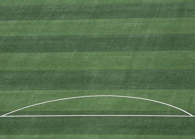 内专家所称 内专家所称