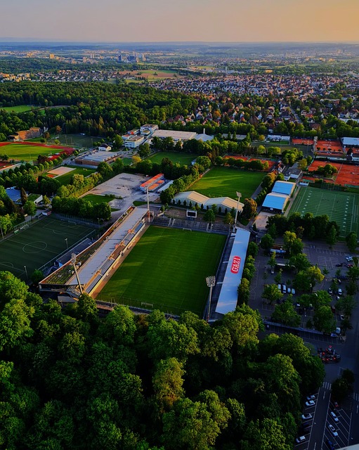 低头黯然神 低头黯然神