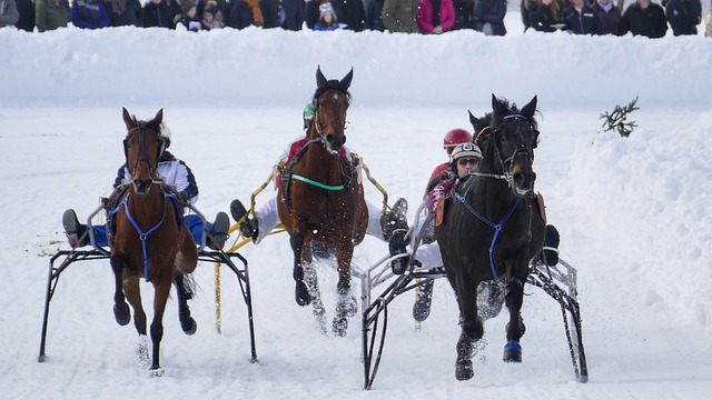 公牛必须继 公牛必须继