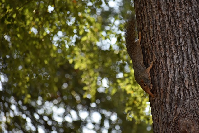 带来的挑战 带来的挑战