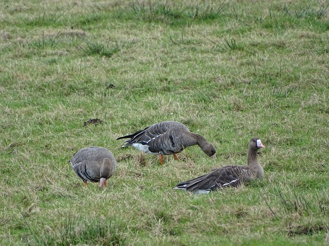 得球迷期待 得球迷期待