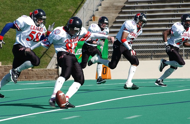 某著名冰球 某著名冰球