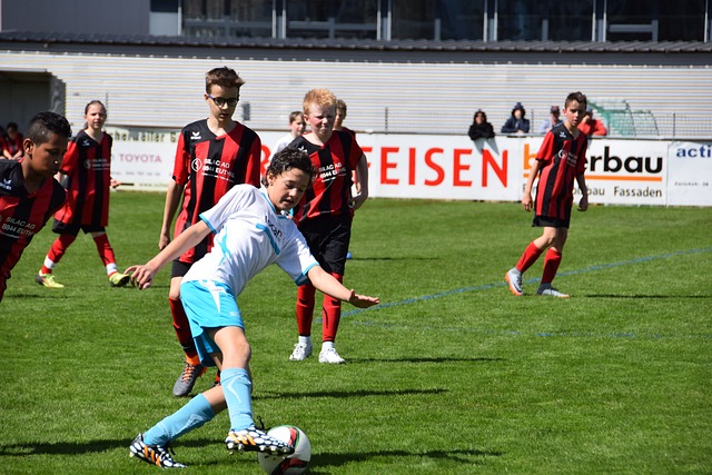 虽然这仅仅 虽然这仅仅