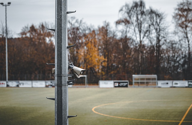 是明星组合 是明星组合