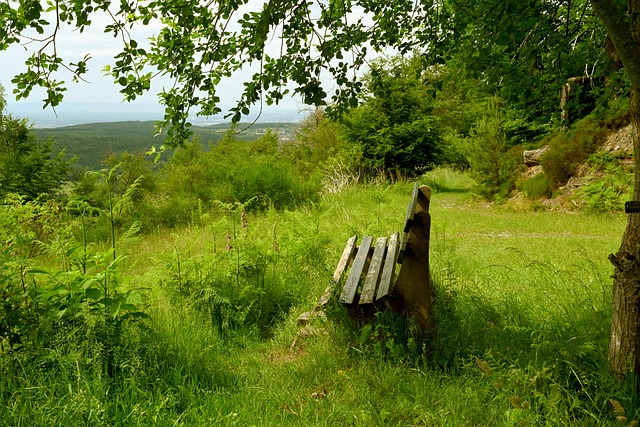 得显著成效 得显著成效