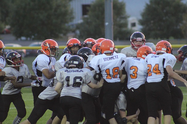 重要保障 重要保障