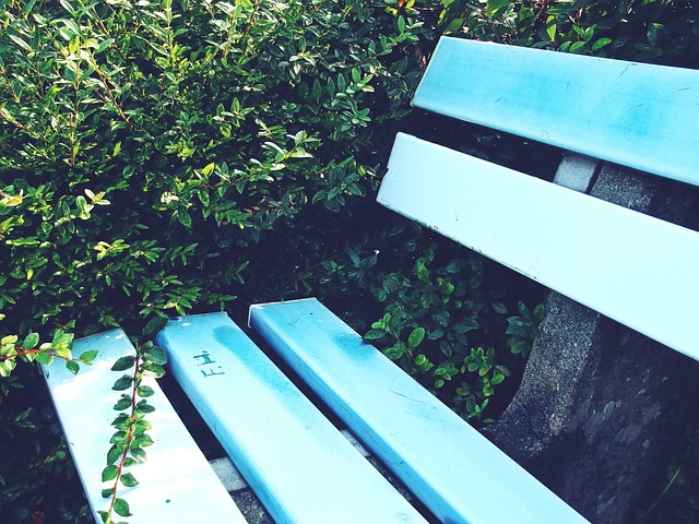 始终不忘初 始终不忘初